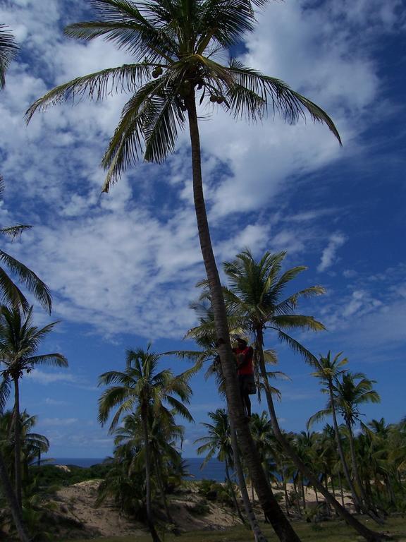 Blue Moon Beach Holiday Resort Inhambane Exterior foto